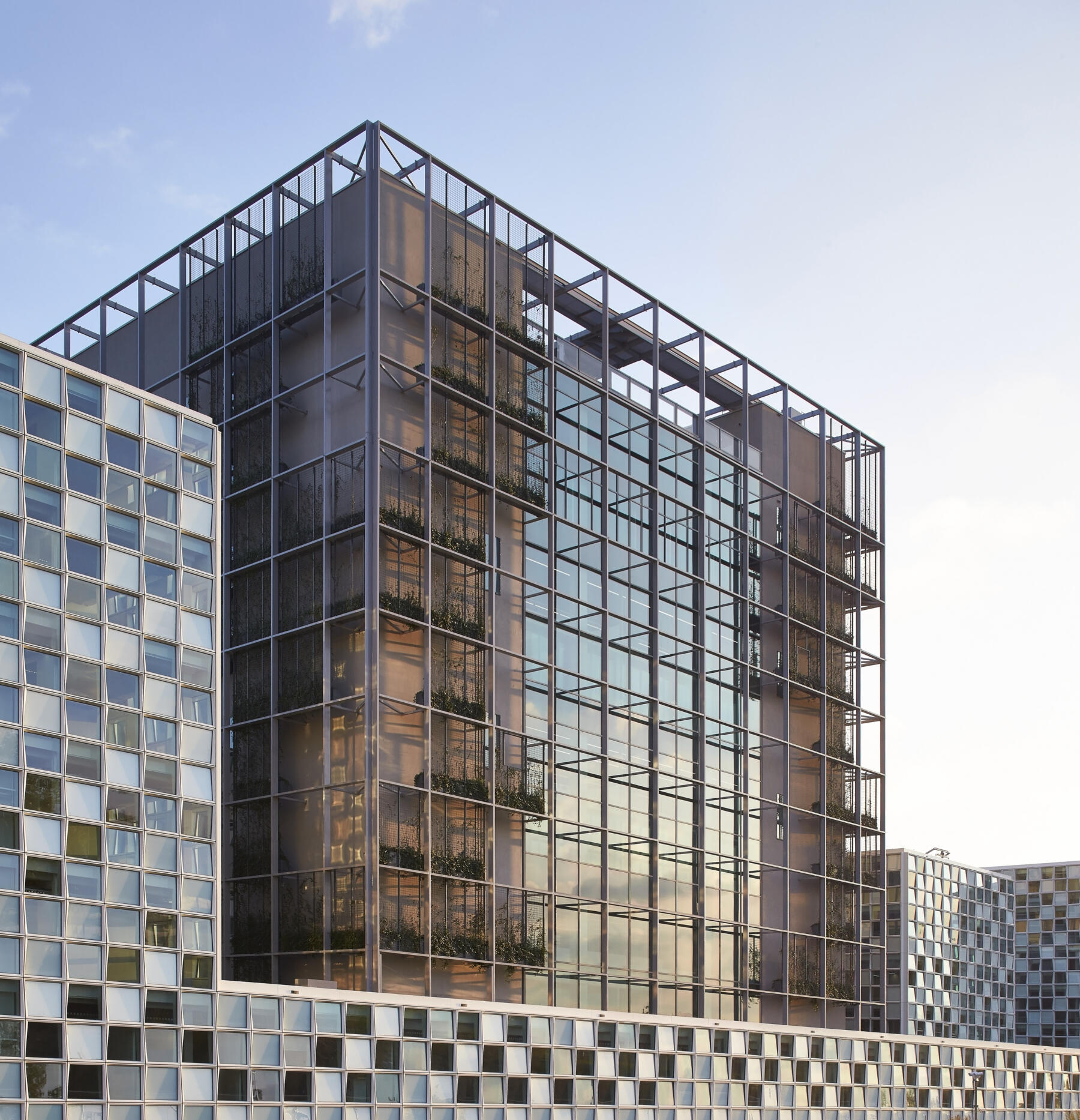 The International Criminal Court (ICC)